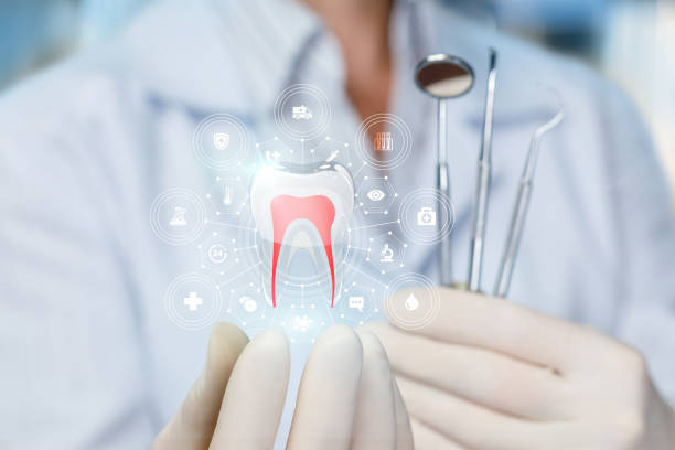 Best Traditional Braces  in New Stanton, PA